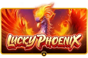 Pengguna bermain live casino dengan dealer dan antarmuka mudah digunakan